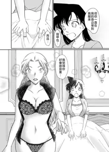 ran and Vermouth, 中文