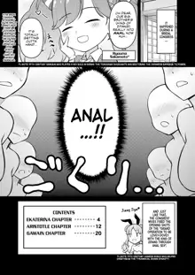 Eiyu*Anal, English