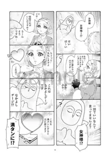 勇者と騎士と姫と姫if, 日本語