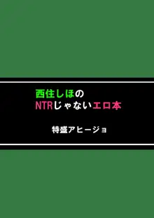 Nishizumi Shiho no NTR ja Nai Erohon | 不是NTR的西住志保本子, 中文