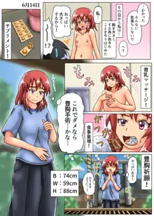 みのりの超乳化記録 ～俺のためにおっぱい大きくしてくれる彼女～, 日本語