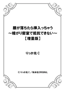 腰が落ちたら挿入っちゃう～暗がり密室で抵抗できない～, 日本語