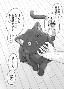 独占欲が強すぎるヤンデレ飼い猫ちゃん, 日本語