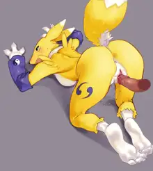 Renamon & Hisuian Zoroark, 日本語