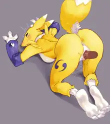 Renamon & Hisuian Zoroark, 日本語