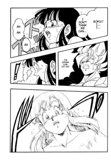 DRAGONBALL H Bessatsu Soushuuhen, English