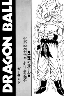 DRAGONBALL H Bessatsu Soushuuhen, English