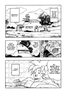 DRAGONBALL H Bessatsu Soushuuhen, English