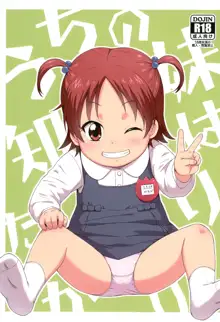 Uchi no Imouto wa Shiritagari (decensored), 中文