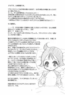 お医者さんごっこ, 日本語