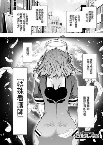 Tokushu Kango Senmon Gakkou Gohoushi Gakuen Ch. 2, 中文