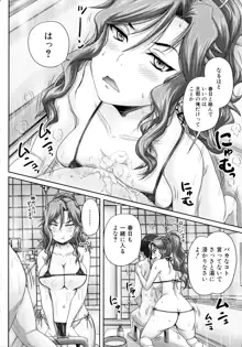 調教→屈服→肉奴隷, 日本語