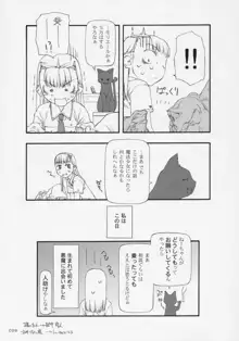 魔法少女総集編, 日本語