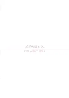 ガレヲンさんと同棲する本, 日本語