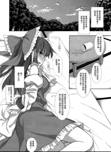 Touhou Ryoujoku 50 Reimu, 中文