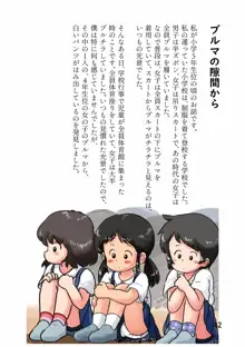 子供の頃のHな体験談集, 日本語