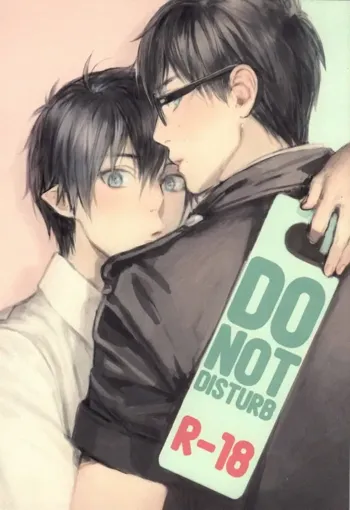 DO NOT DISTURB, English