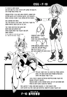 War Gynoid no Shimeikan | 전투 인형의 사명간, 한국어