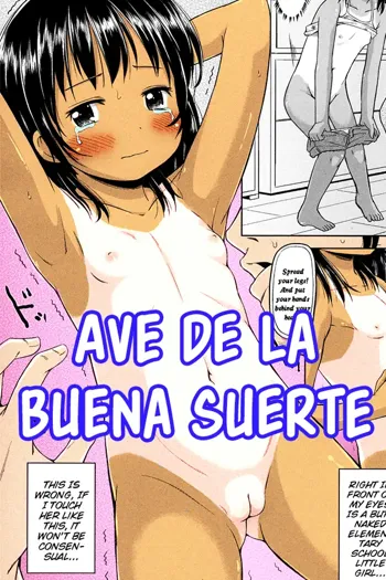 Shiawase no Aoi Tori | Ave de la buena suerte, Español