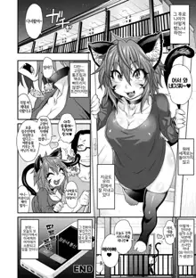 Kemonokko Tsuushin ~Nekomusume Nia~, 한국어