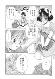 オレンジ色の花, 日本語