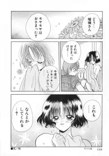 オレンジ色の花, 日本語