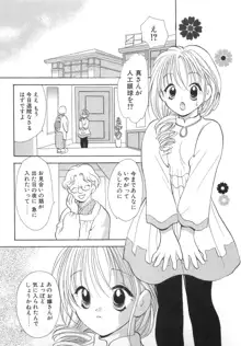 オレンジ色の花, 日本語