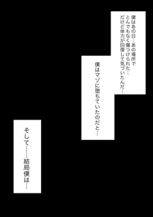 由緒正しい女学院の秘密の保健体育, 日本語