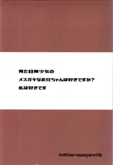 TSメスガキ兄貴をわからせたい, 日本語