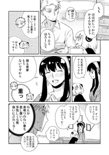 仮初夫婦の寝屋日報, 日本語