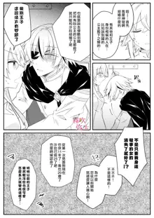 Dekiai Kei Yandere Kyoudai Ouji wa Itoshi no Shinkan Mazoku Ochi Sasetai | 溺愛係病嬌王子兄弟想讓心愛的神官墮落成魔族, 中文