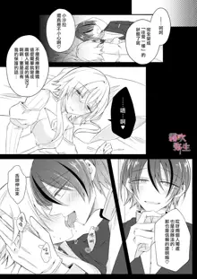 Dekiai Kei Yandere Kyoudai Ouji wa Itoshi no Shinkan Mazoku Ochi Sasetai | 溺愛係病嬌王子兄弟想讓心愛的神官墮落成魔族, 中文