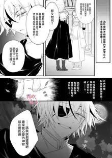 Dekiai Kei Yandere Kyoudai Ouji wa Itoshi no Shinkan Mazoku Ochi Sasetai | 溺愛係病嬌王子兄弟想讓心愛的神官墮落成魔族, 中文