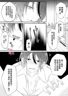 Dekiai Kei Yandere Kyoudai Ouji wa Itoshi no Shinkan Mazoku Ochi Sasetai | 溺愛係病嬌王子兄弟想讓心愛的神官墮落成魔族, 中文