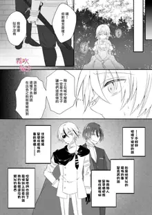 Dekiai Kei Yandere Kyoudai Ouji wa Itoshi no Shinkan Mazoku Ochi Sasetai | 溺愛係病嬌王子兄弟想讓心愛的神官墮落成魔族, 中文