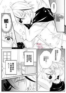 Dekiai Kei Yandere Kyoudai Ouji wa Itoshi no Shinkan Mazoku Ochi Sasetai | 溺愛係病嬌王子兄弟想讓心愛的神官墮落成魔族, 中文