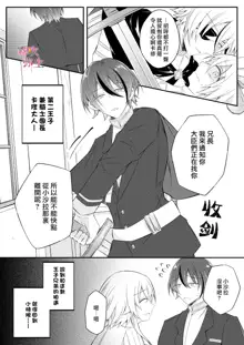 Dekiai Kei Yandere Kyoudai Ouji wa Itoshi no Shinkan Mazoku Ochi Sasetai | 溺愛係病嬌王子兄弟想讓心愛的神官墮落成魔族, 中文