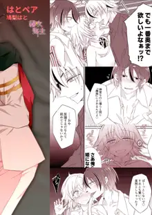 Dekiai Kei Yandere Kyoudai Ouji wa Itoshi no Shinkan Mazoku Ochi Sasetai | 溺愛係病嬌王子兄弟想讓心愛的神官墮落成魔族, 中文