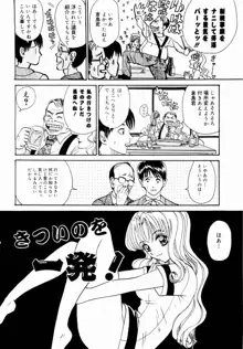 出会う前に僕をふった貴女に捧ぐ, 日本語