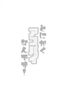 とにかくアコパイなんです!, 日本語