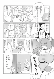 ミス・マギーの素敵な商売 Vol.3, 日本語