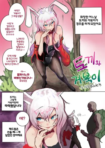 전래동화2 토끼와 거북이