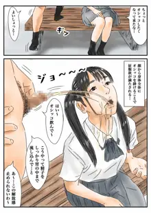 時間停止 登校中の女子高生に勃起したので、我慢せずに犯します。, 日本語