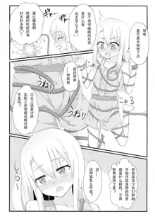 Illya to Ruby Echiechi Secret Function, 中文