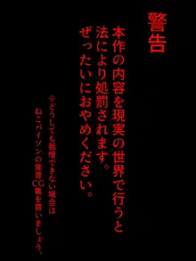 裏サイトで違法ロリ盗撮画像をやりとりする愛好家たち 【総集編】, 日本語