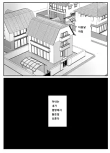 Netorase no Koukai tte Osoi Mitai yo? | 네토라세 후회는 늦는다고?, 한국어