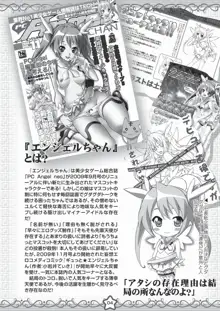 エンジェルちゃんGOGO!! 超拡張計画BOOK＋, 日本語