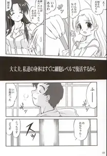 楓ちゃんの憂鬱!!, 日本語