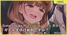 Ecstasy Stage 99 Premium ギャルまゆは如何ですか?, 日本語