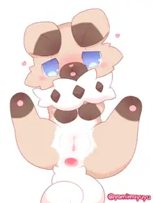 Rockruff, 日本語